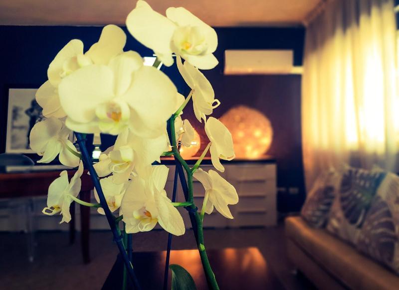 Hotel Caraibi 3*